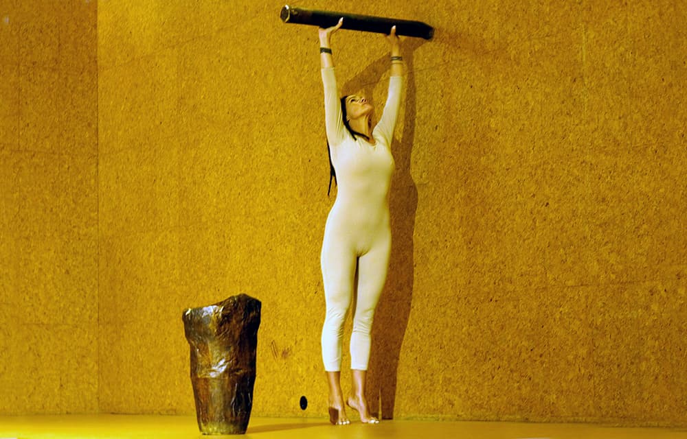 Image for Performance | De Corpo Fechado